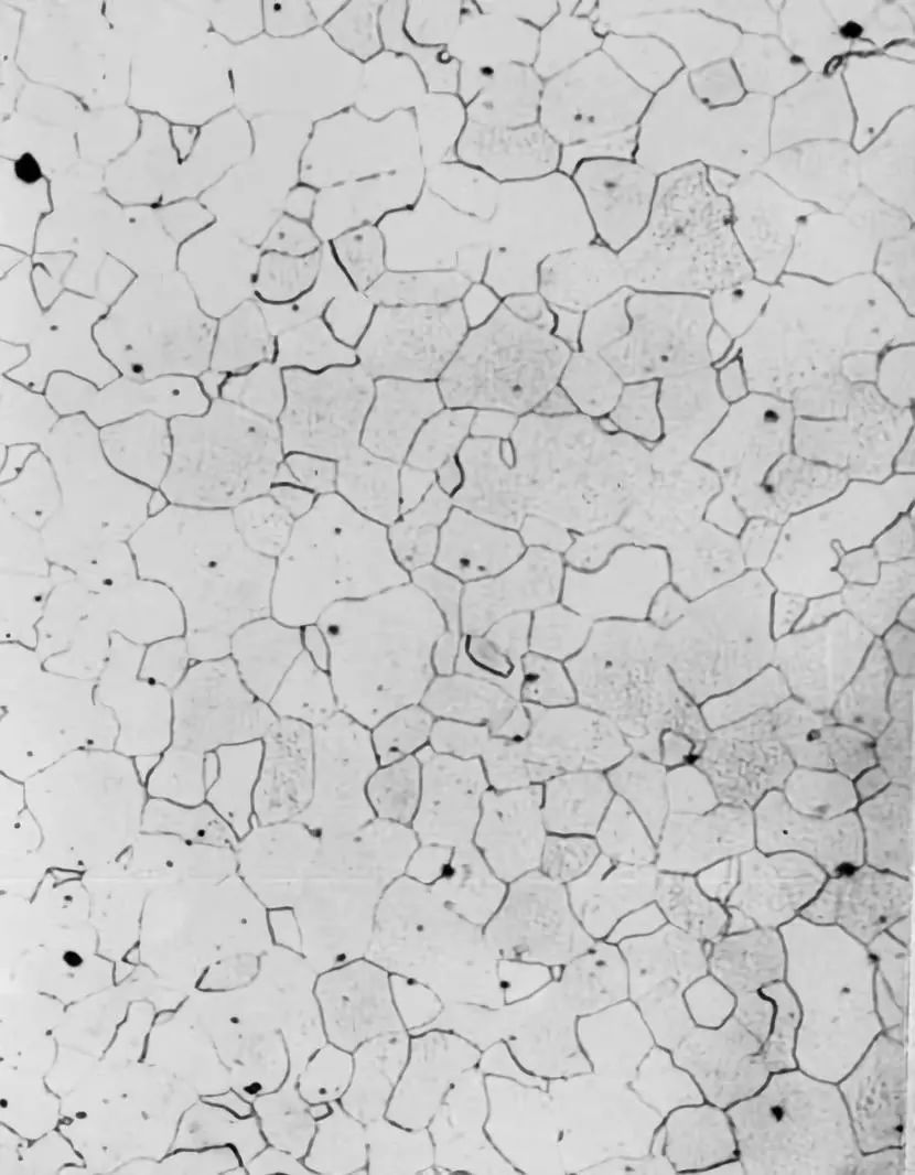 铁素体显微组织图图片