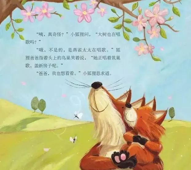 树妈精选绘本小狐狸的新家