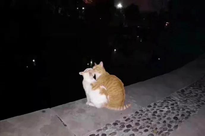 图片[29] - 【xizi被窝段子20191214】拿你有的 换你要的，世界如此残酷却公平 - xizi