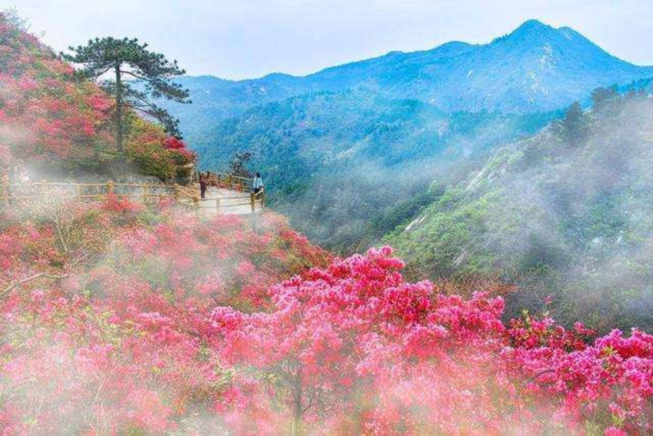 原创2019黄陂旅游冬季大v带网红采风游木兰故里看黄陂变化