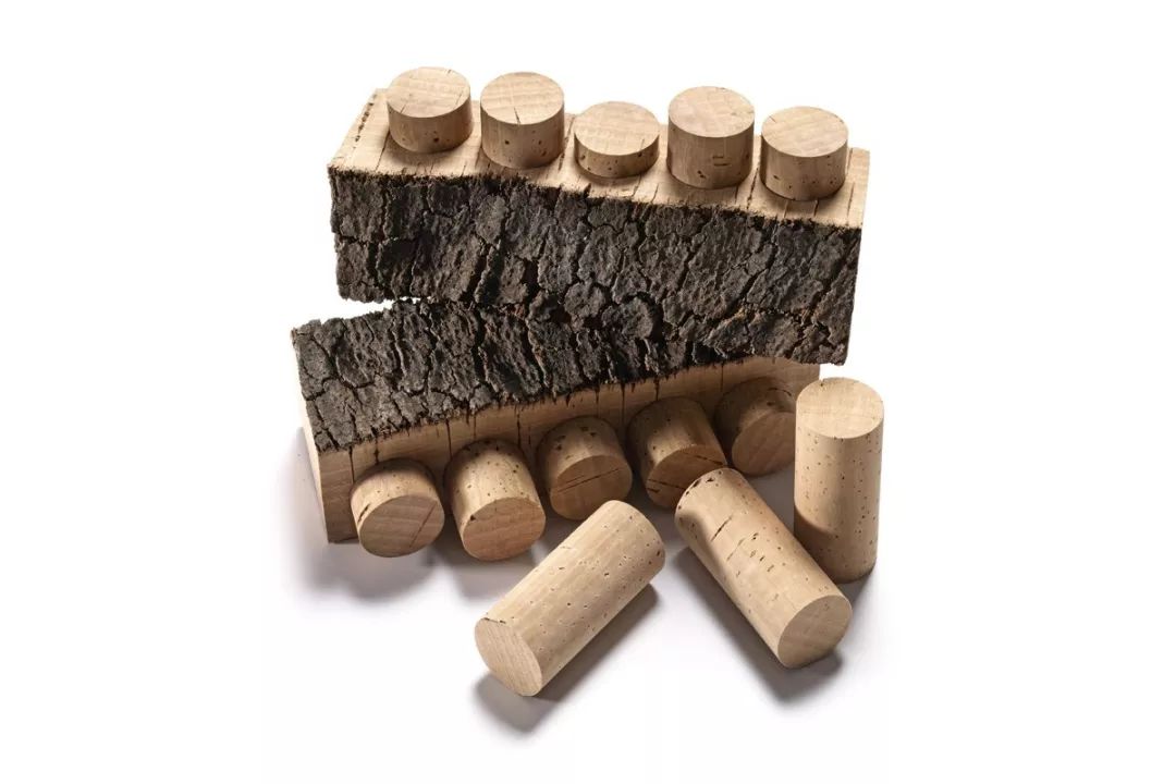 山野博物磕板栗磕出的橡子一家中