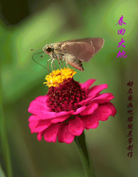 583_749竖版 竖屏gif 动态图 动图