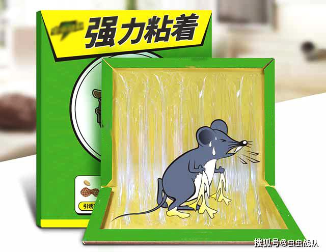 粘鼠板卡通图片