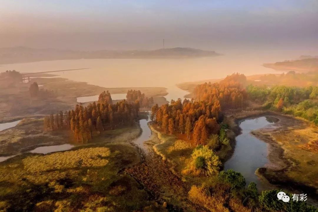 溧阳新网红景点--大溪水库湿地之醉美水杉林◇又现车祸,出租车被撞飞