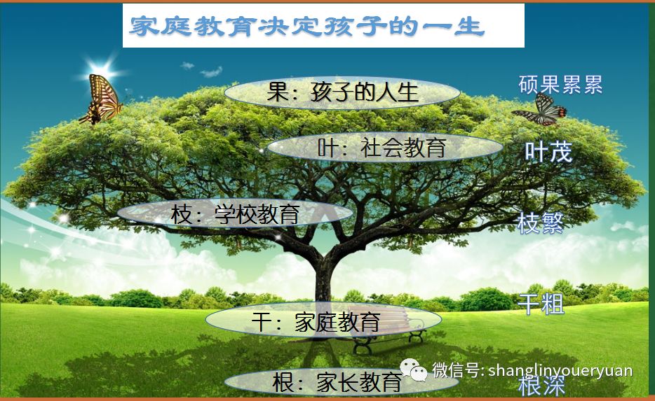 家长教育就是树的根,家庭教育是树的干,而学校教育,社会教育则是枝和
