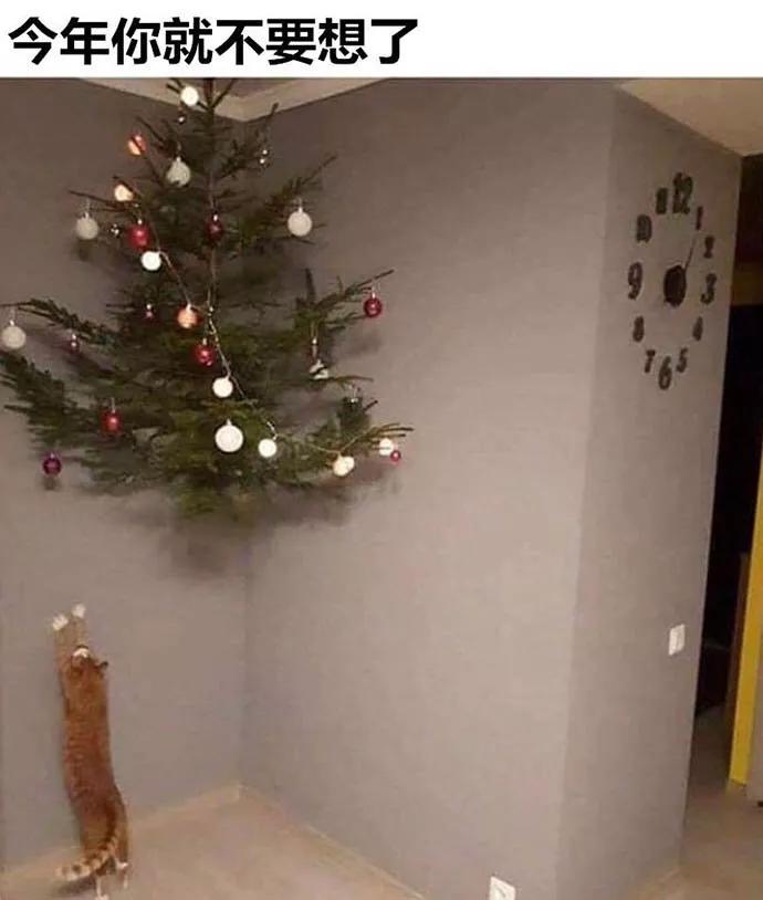 图片[22] - 【xizi被窝段子20191214】拿你有的 换你要的，世界如此残酷却公平 - xizi