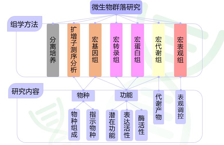 微生物群落多组学研究总览对比_分析
