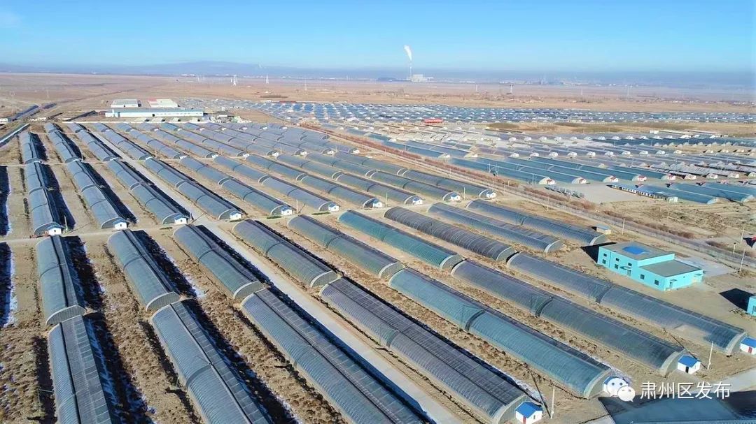 冬日里让我们一起探寻戈壁农业的色彩斑斓