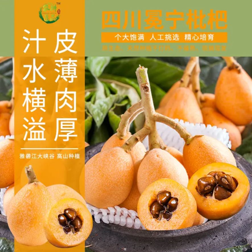 枇杷熟了西昌周边又大又甜又好吃的枇杷藏在这里