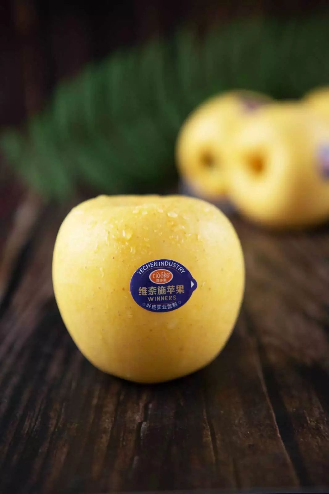 叶臣实业喜多果