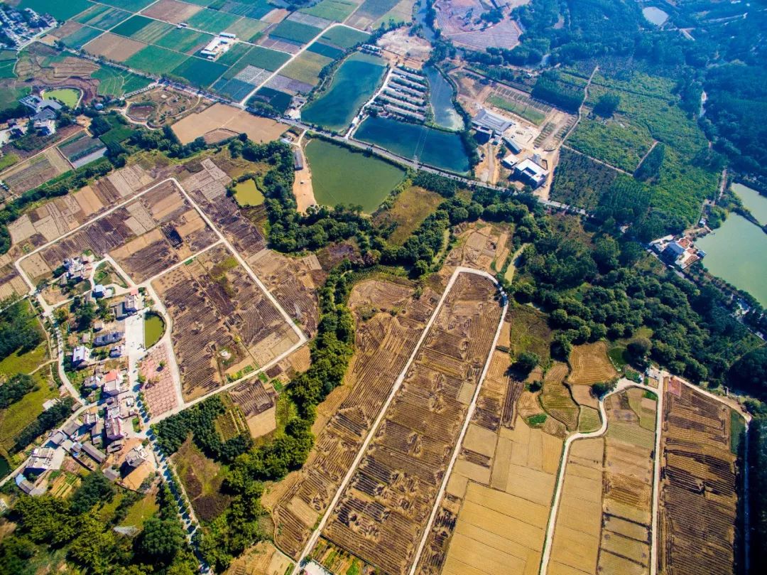 文艺志愿服务队走进洋田村