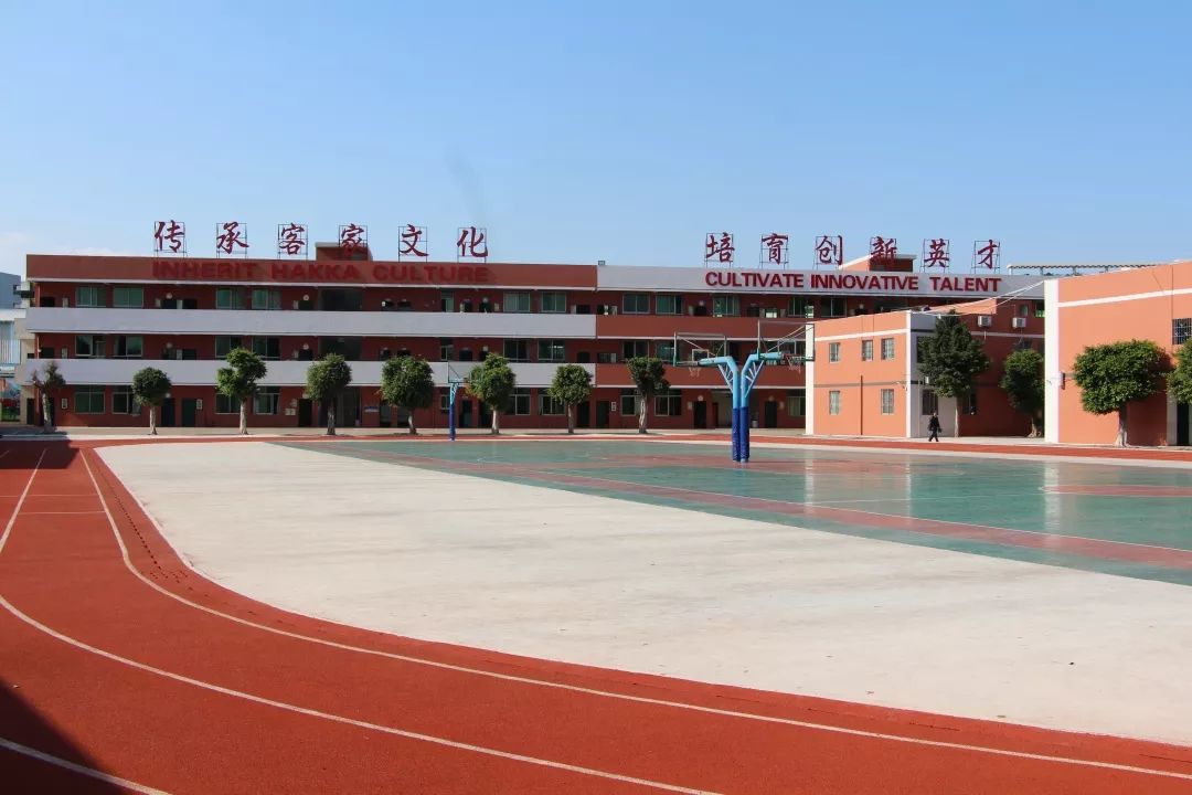 魅力英才番禺区新英才中英文学校2020年春季招生资讯