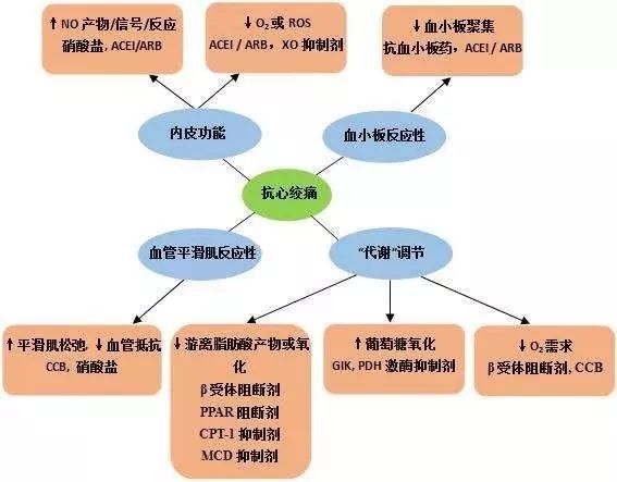 增加缺血區血供:擴張冠脈,↑側支循環,抑制血小板聚集,解除冠脈痙攣