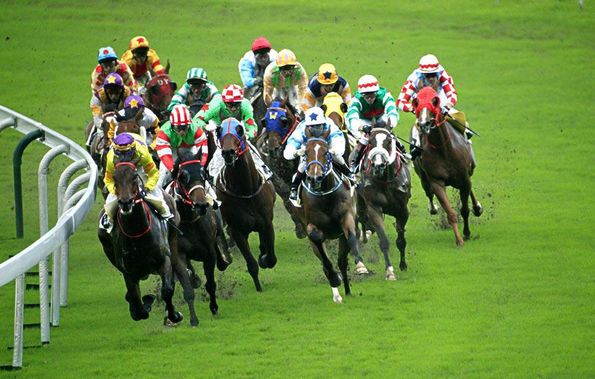 海南省旅文厅:赛马运动指导意见已报审,未来将建赛马场