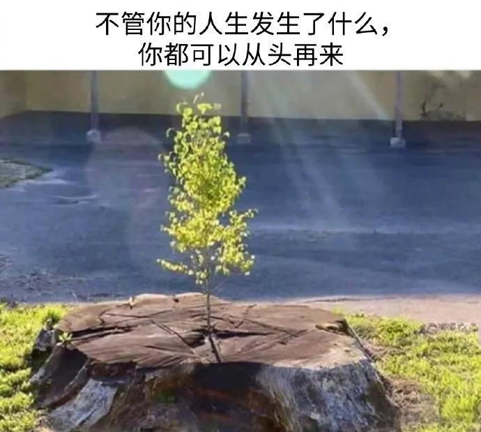 图片[35] - 【xizi被窝段子20191215】别放弃啊！ - xizi