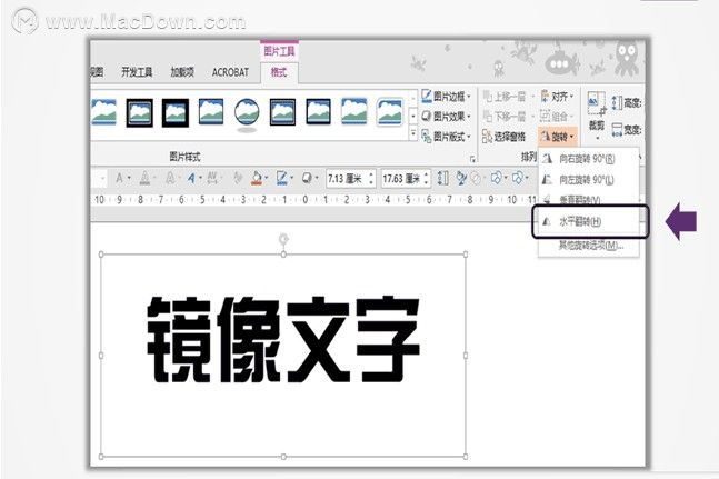 ppt图片镜像翻转快捷键图片