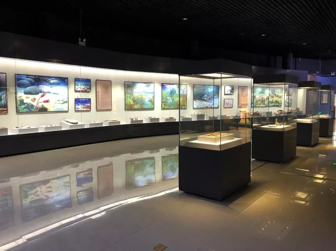 约起乌海市博物馆恢复展览免费开放时间是