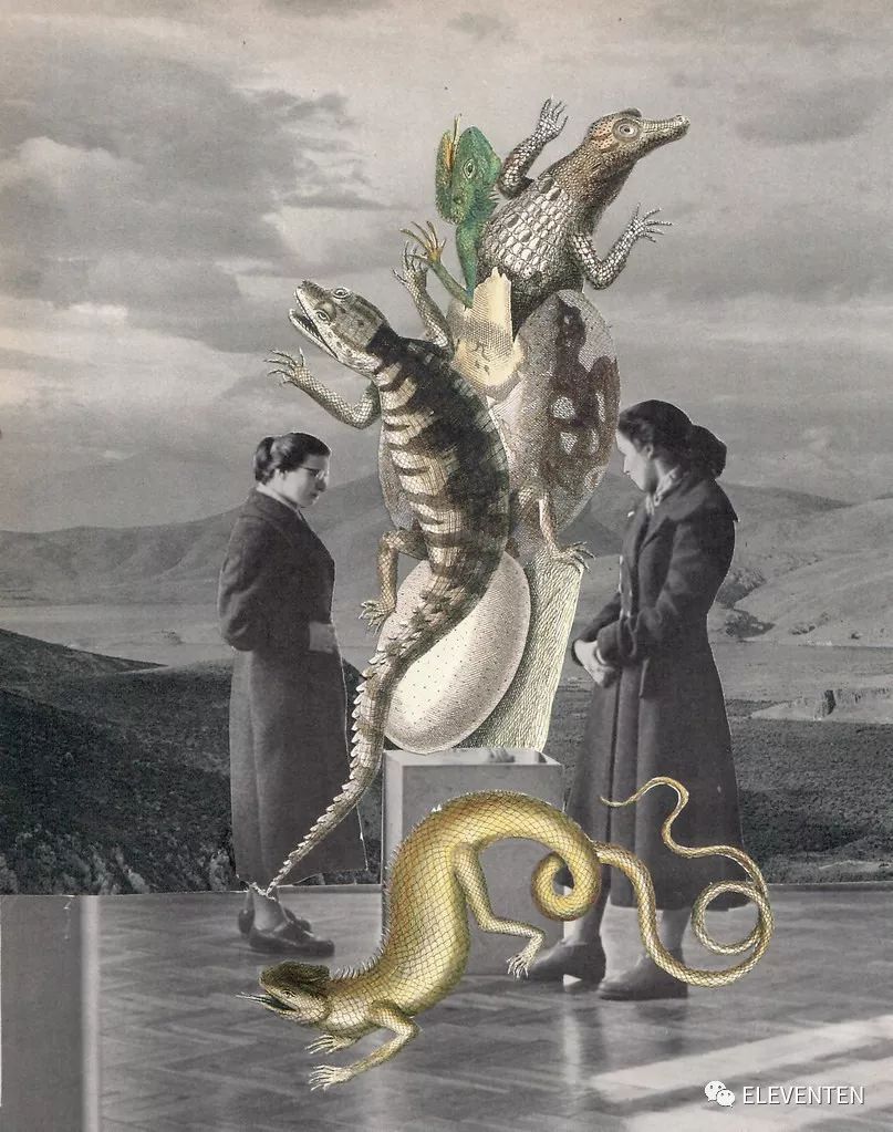 拼贴艺术家lynn skordal,创造超现实的达达主义拼贴世界.