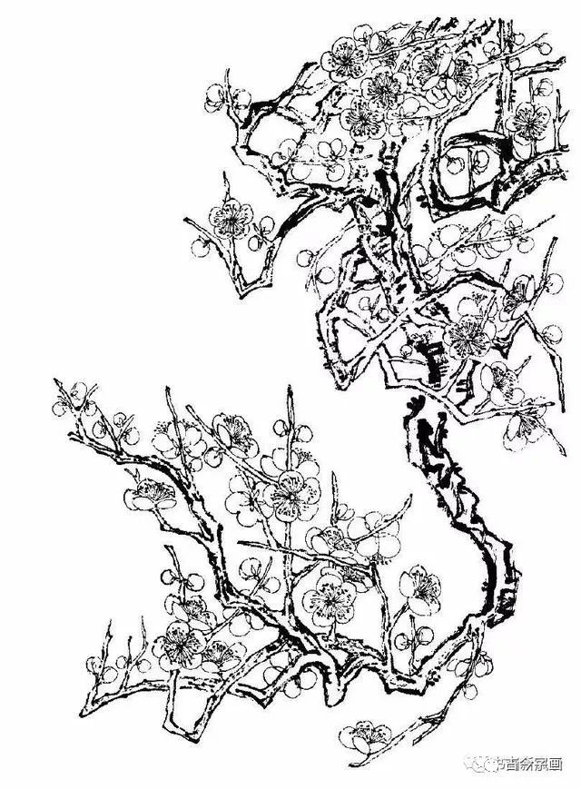 又一组梅花白描画谱老树虬枝苍劲高洁