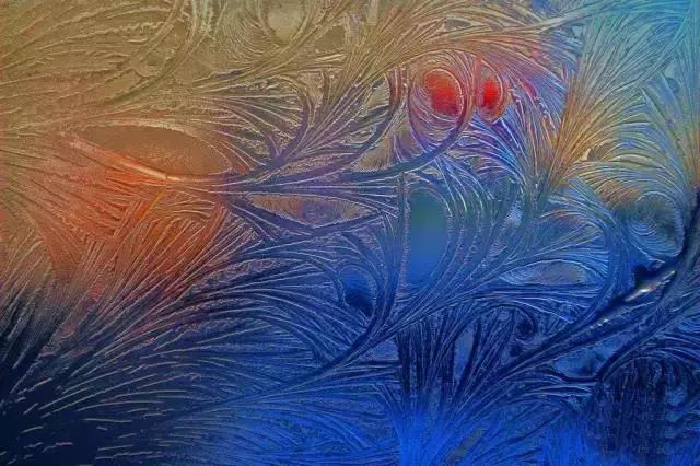 高冷奇葩原来冰窗花可以这么美