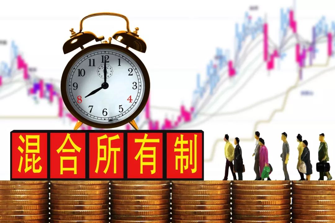 与湖南医药集团一出生便混合多种所有制,多元化股权结构不同,国内更多