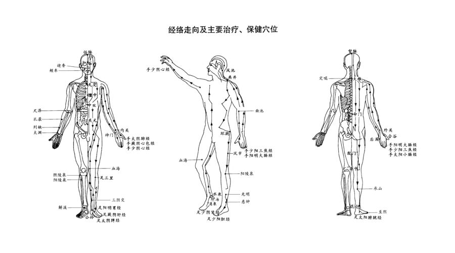 從經絡系統的客觀存在看站樁的意義附312經絡鍛鍊法