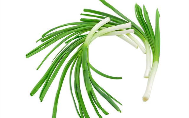 小小一根葱,对身体竟会有这几个好处,帮助你更好的调理身体