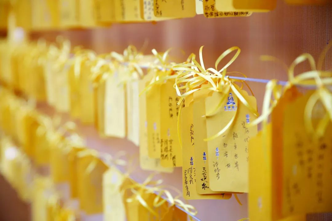 玉佛禅寺己亥冬至水陆法会正式启建!