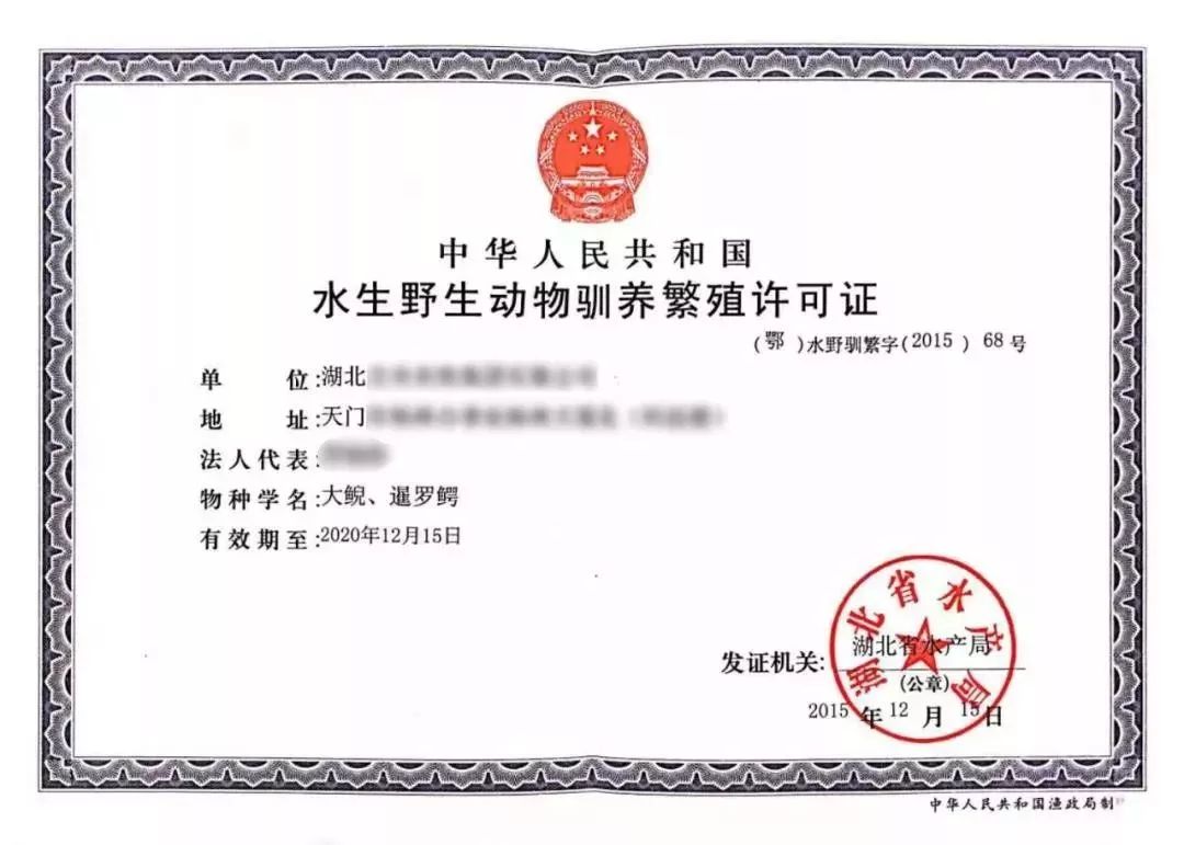 和鳄鱼都是人工养殖有合法的饲养证件可以放心吃~||先喝一口"鳄鱼汤"