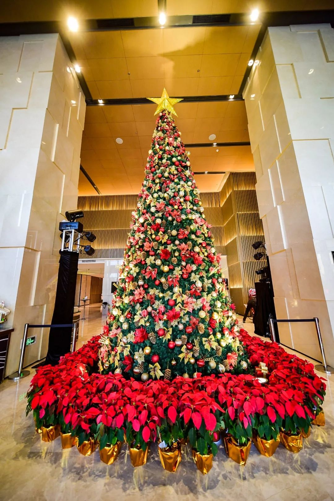酒店是如何“折腾”圣诞树的？全国最具创意酒店圣诞树大PK_设计