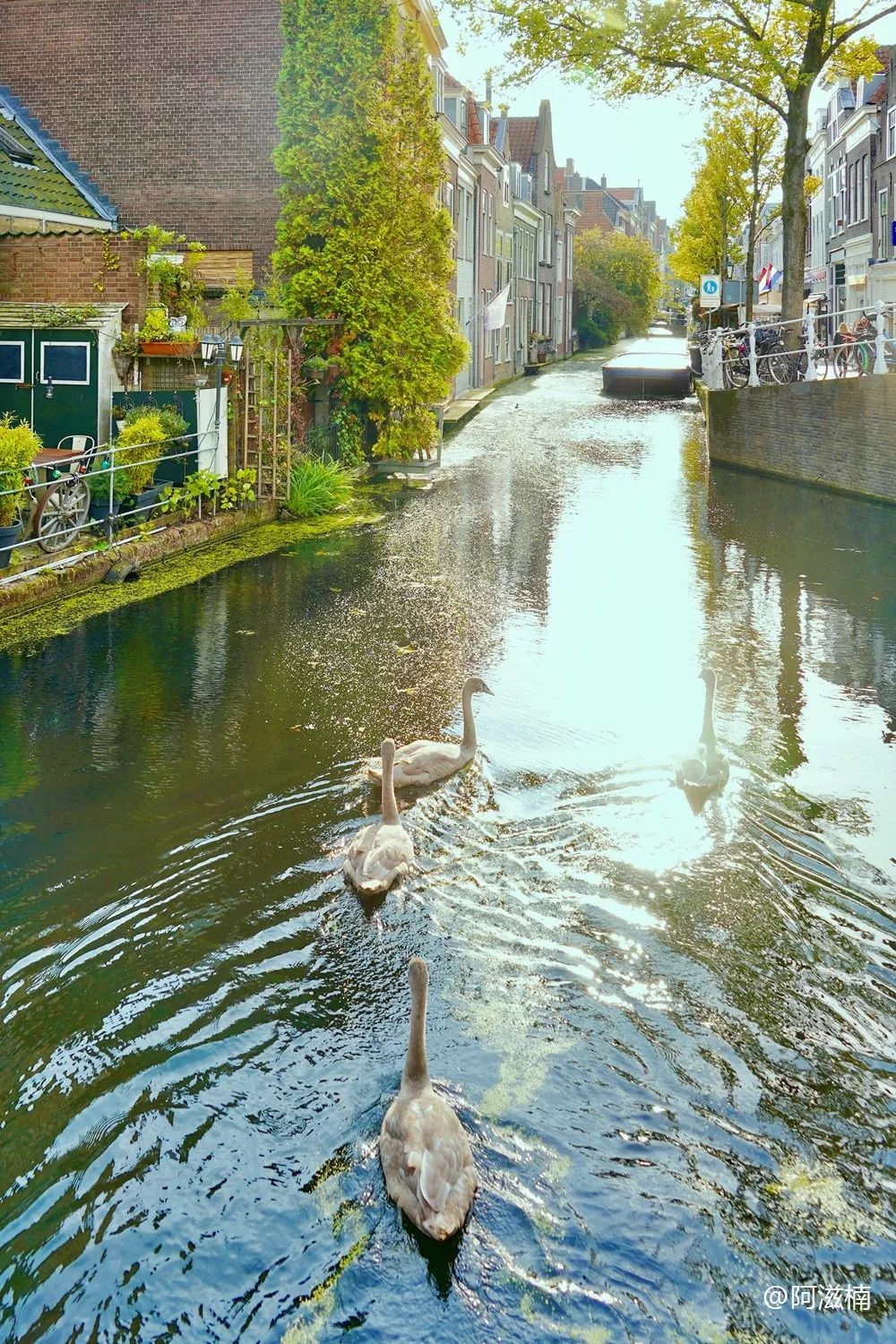 跨年好物探秘荷兰国宝皇家代尔夫特蓝瓷300年传奇历史