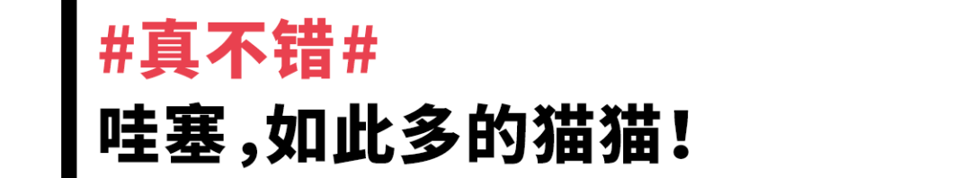 #真不錯# 171 個小遊戲教你認識世界 遊戲 第24張