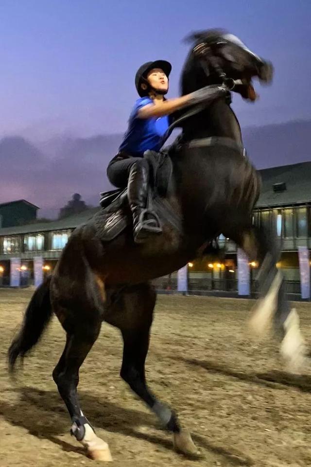 英姿飒爽美女御马图