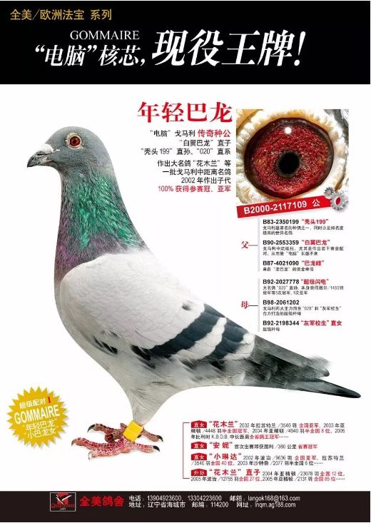 盖比克拉克詹森贝克詹森:都说它是歌神级别的品种!胡本:真的