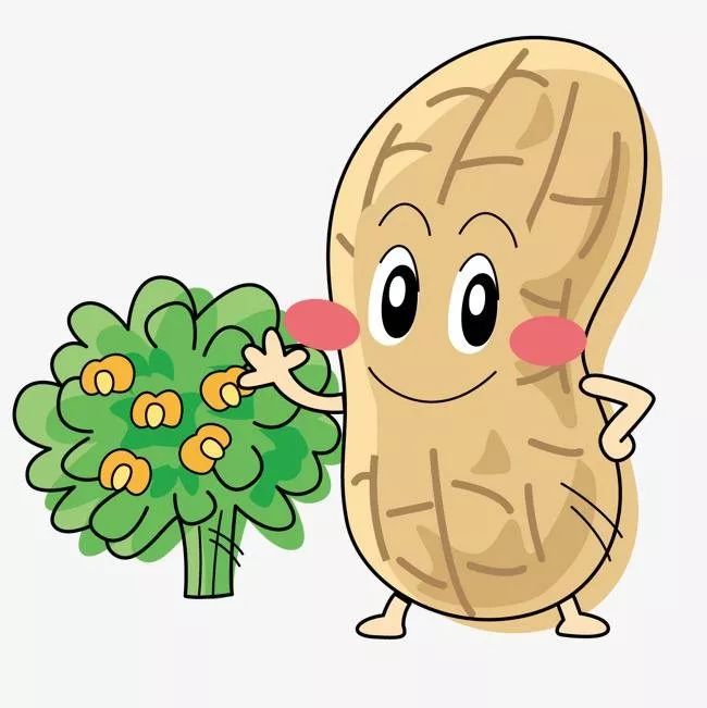 花生在哪里 | 10分钟亲子游戏室