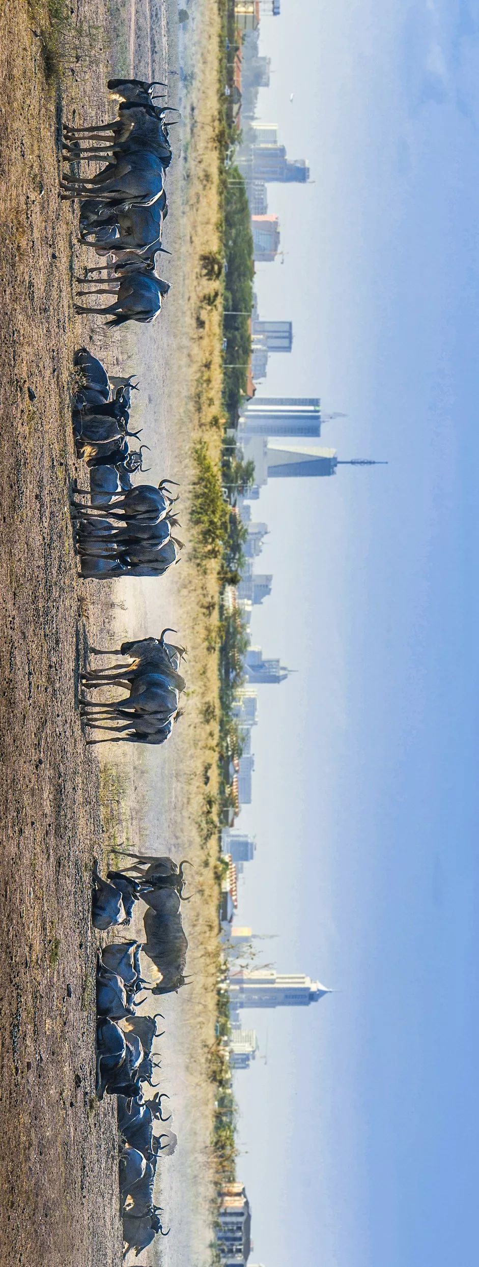 【行走天下】野性王国---肯尼亚