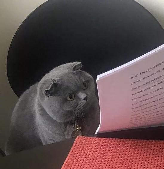 图片[30] - 【xizi被窝段子20191215】别放弃啊！ - xizi