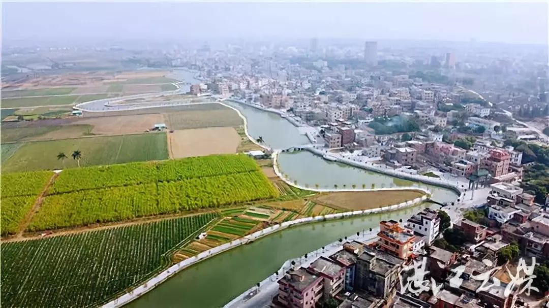 吴川霞街村文化振兴焕发乡村魅力之美