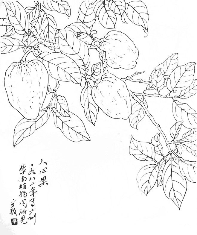 畢晉吉(1909—1987) 筆名晉極,號鳳奚,陌村.山東威海 人,擅長中國畫.