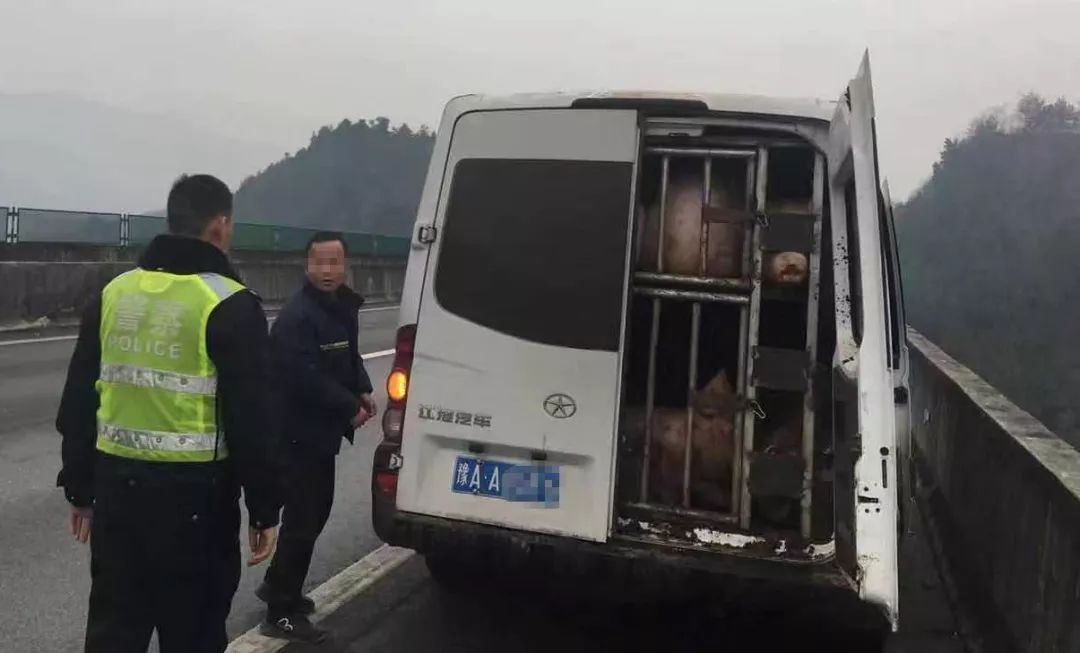 畜禽运输车GPS定位：让运送更安全高效