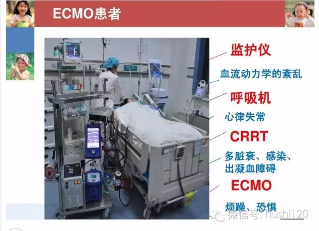 【ppt】ecmo的护理——山东省胸科医院