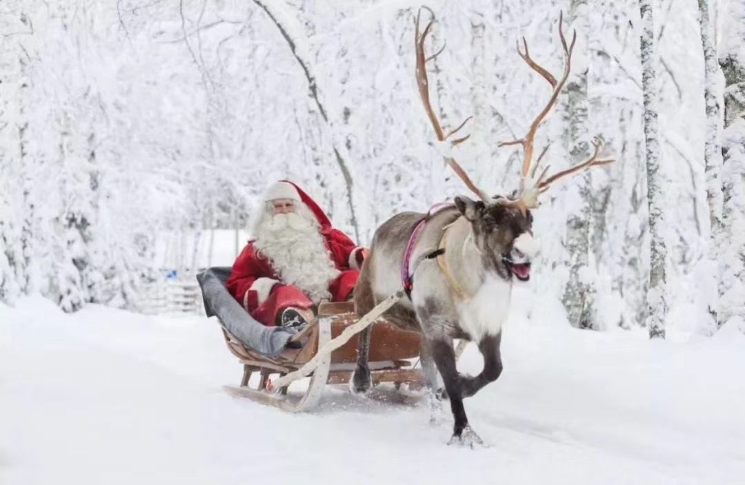 還有聖誕老人駕馴鹿雪橇派送禮物哦