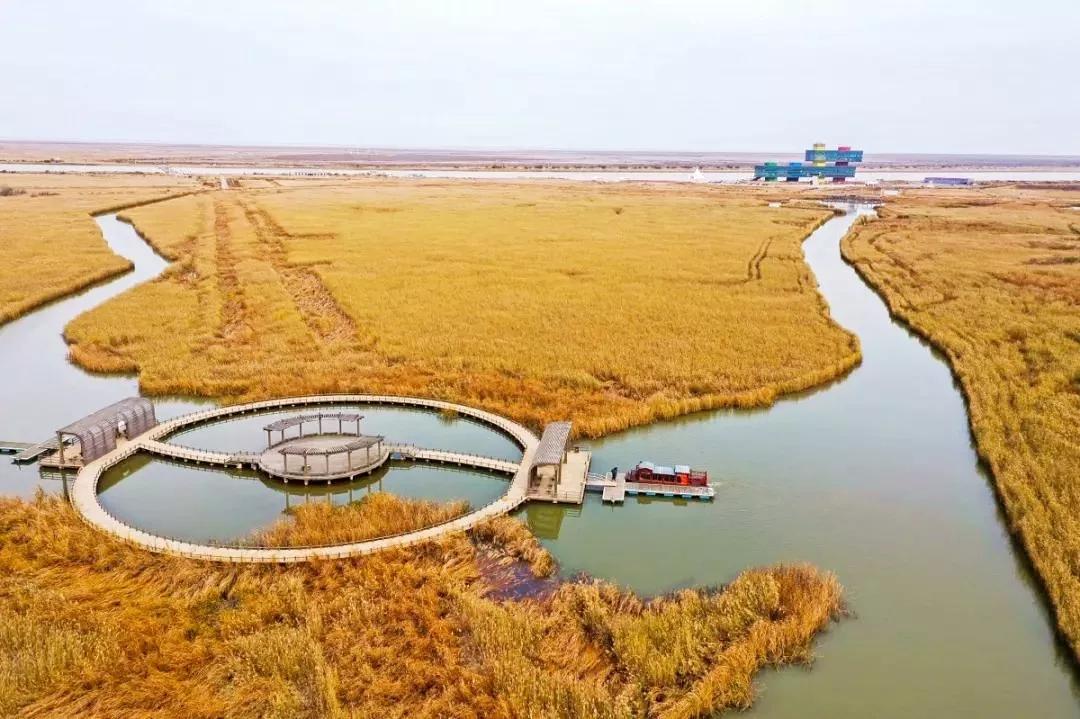 靜謐悠然,煙波浩渺,冬日不能錯過這些高顏值溼地!_黃河口