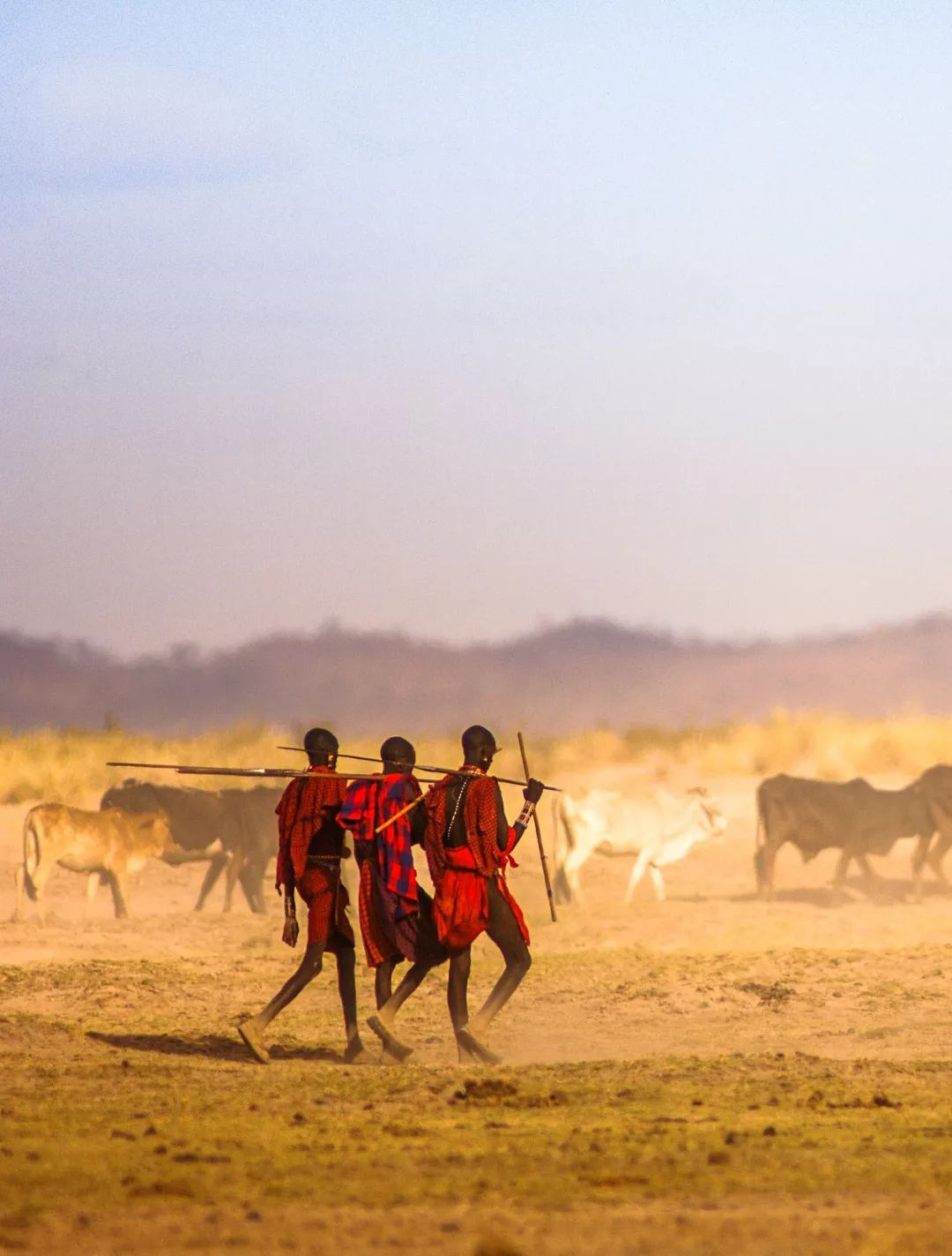 【行走天下】野性王国---肯尼亚