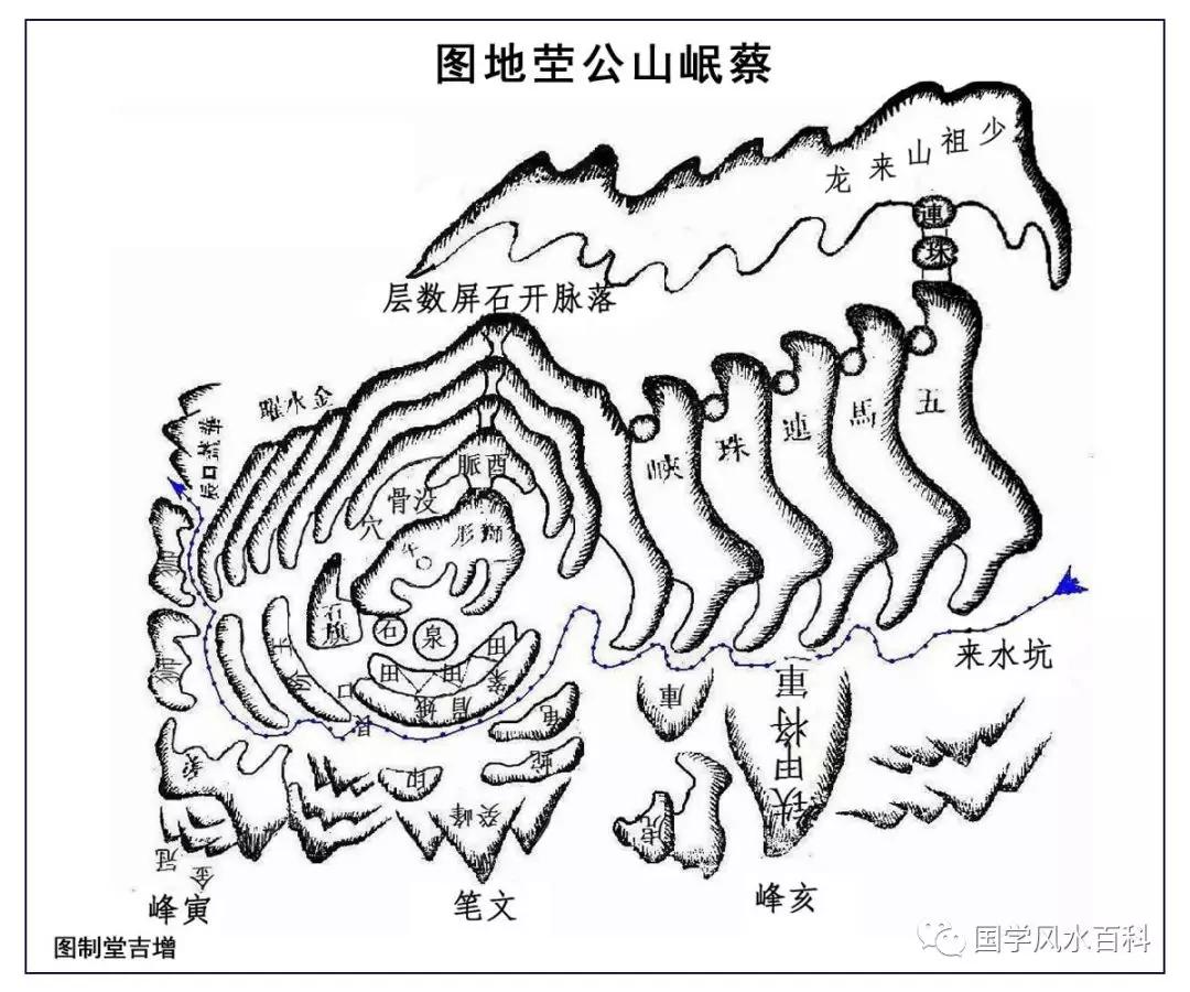 蔡岷山图片