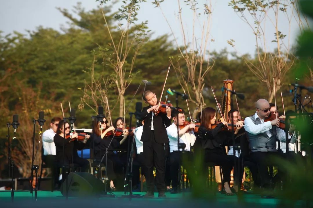 草坪新年音乐会丨随着音乐共赏美丽东莞,共享幸福生活!_演出