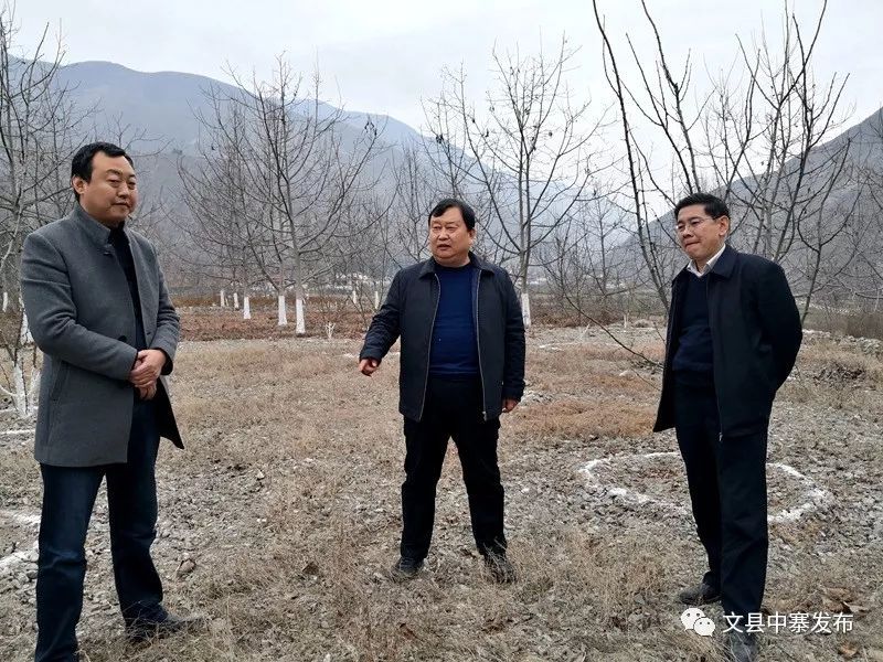 五大集中活动 | 陈军在中寨镇督查指导"五大集中活动"并走访慰问困难