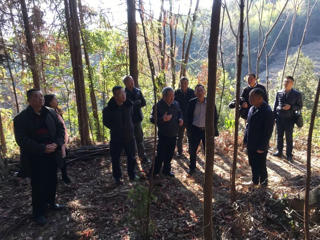 福建中医药大学梁一池教授到大渚村授课兴田镇圆梦村工作动态2019年12