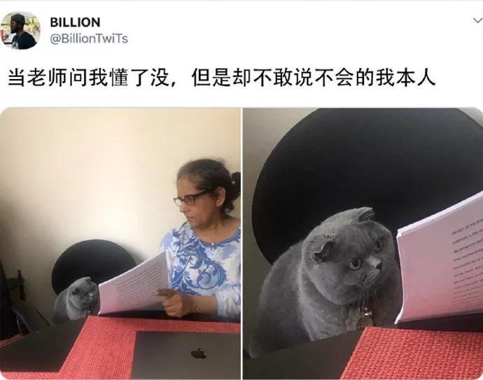 图片[28] - 【xizi被窝段子20191215】别放弃啊！ - xizi