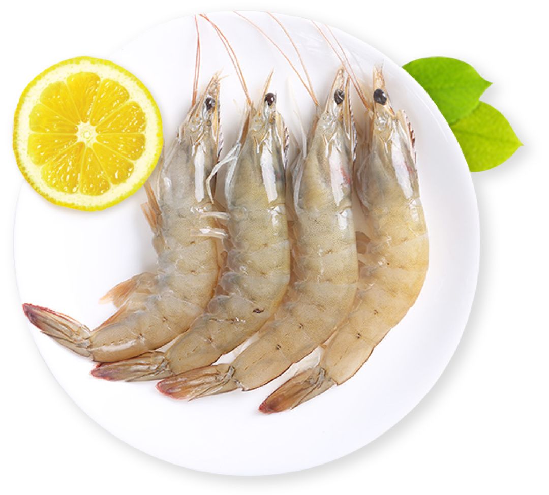 是时候去广东湛江实现"海鲜自由"了!